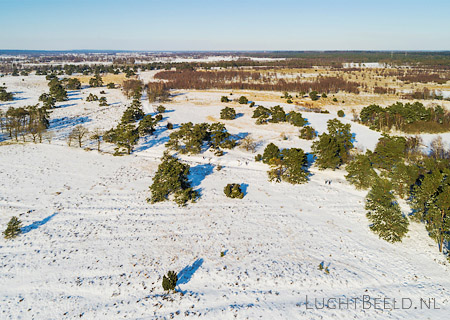 Stock foto's van sneeuw in de Borkeld tijdens de winter