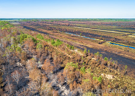 Stock foto's van de Deurnese Peel na de grote bosbrand van 2020