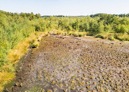 Stock foto's van drooggevallen vennen tijdens droge zomer in Haaksbergerveen