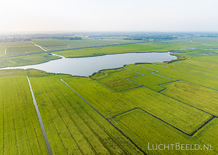 Stock foto's van Het Die