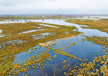 Stock foto's van nieuwe natuur in Leegveld voor hoogveenherstel Deurnsche Peel