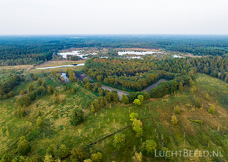 Stock foto's het Leenderbos