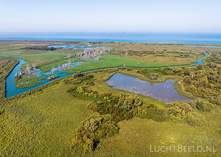 Stock foto's van de Lepelaarplassen