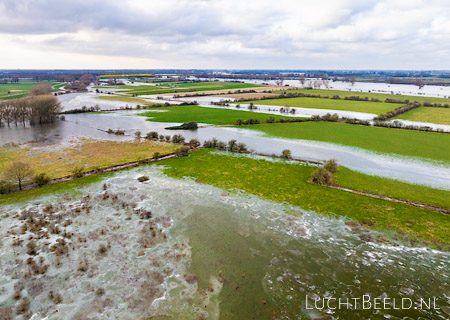 Stock foto's van deels overstroomde en bevroren uiterwaarden van de Maas in de Koornwaard bij Empel
