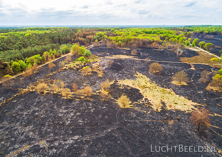 Stock foto's De Meinweg na de grote bosbrand van 2020