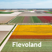 Video's Flevoland