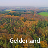Video's Gelderland