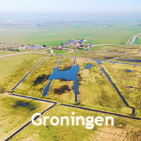 Video's Groningen