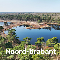Video's Noord-Brabant