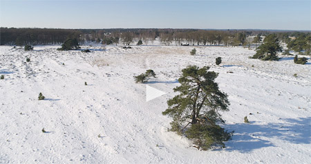 Video sneeuw in de Borkeld