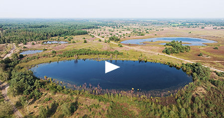 Video Groote Heide (Leenderbos)