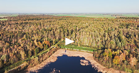 Video Kuinderbos in de herfst