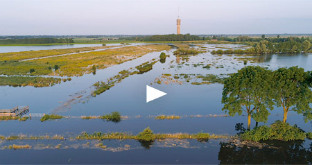 Video hoog water in de Maas bij Megen