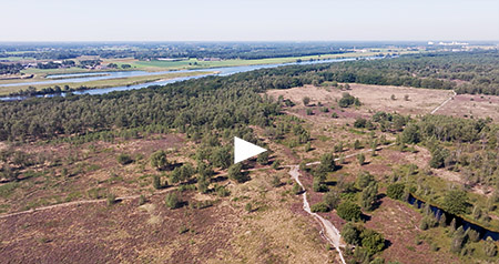 Video Landgoed de Hamert in nationaal park Maasduinen