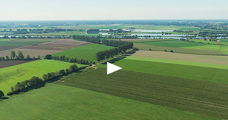Video platteland in Midden Limburg
