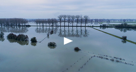 Video hoog water in de Nederrijn in de Huissense Waarden bij Angeren