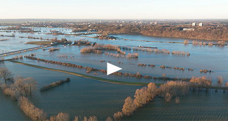 Video hoog water in de Nederrijn bij Wageningen, Randwijk en Heteren