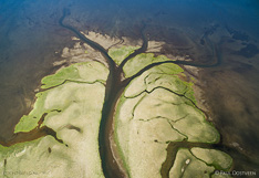 River flows into the lake Sigriðarstaðavatn at the coast of Vatsnes in northern Iceland. Aerial photo captured with a camera drone (Phantom).