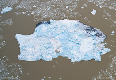 Floating iceberg in Fjallsárlón glacier lake. Aerial photo captured with a camera drone (Phantom) by Paul Oostveen.