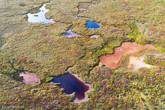 Colourful lakes in the Westfjords of Iceland. Aerial photo captured by drone.