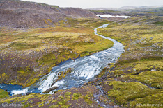 River on Dynjandisheidi in the Westfjords of Iceland. Aerial photo captured by drone.