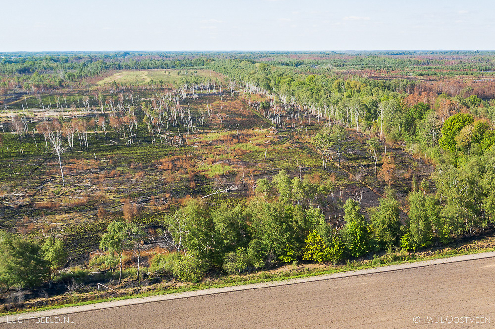 Verbrand bos en veengebied Deurnese Peel na de grote veenbrand van april 2020 - luchtfoto gemaakt met een drone.