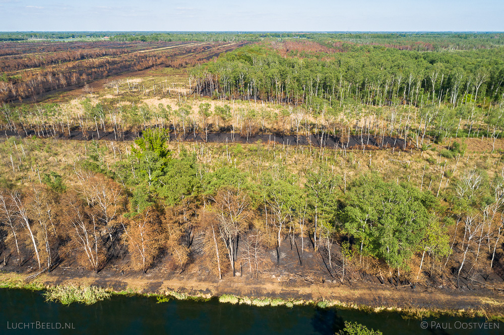Verbrand bos en veengebied in Deurnese Peel na de grote brand van april 2020 - luchtfoto gemaakt met een drone.