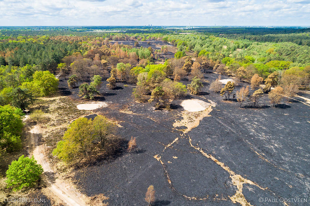 Verbrande hei en bomen in de Meinweg na de grote brand van april 2020 - luchtfoto gemaakt met een drone.
