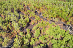 Bos in Deurnese Peel na de grote brand van april 2020 - luchtfoto gemaakt met een drone.