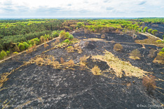 Verbrand heidegebied in de Meinweg na de grote brand van april 2020 - luchtfoto gemaakt met een drone.