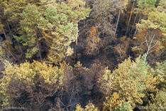 Verbrand bos in de Meinweg na de grote brand van april 2020 - luchtfoto gemaakt met een drone.