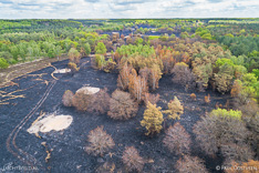 Verbrande bomen en heide in de Meinweg na de grote brand van april 2020 - luchtfoto gemaakt met een drone.