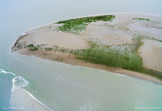 Schor in het Verdronken land van Saeftinghe in Zeeland. Luchtfoto gemaakt met een camera drone door Paul Oostveen.