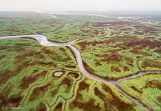 Schorren en geulen in het Verdronken land van Saeftinghe in Zeeland. Luchtfoto gemaakt met een camera drone door Paul Oostveen.
