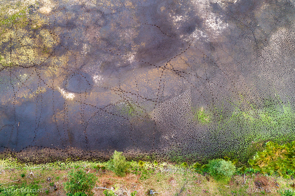 Sporen van dieren in een drooggevallen ven van de Leersumse Plassen in het Leersumse Veld tijdens de droge zomer van 2019. Luchtfoto gemaakt met een camera drone.