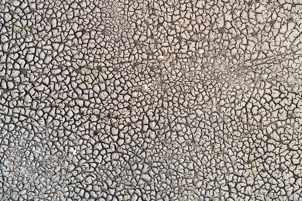 Drooggevallen ven van de Leersumse Plassen in het Leersumse Veld met opgedroogde modder tijdens de droge zomer van 2019. Luchtfoto gemaakt met een camera drone.