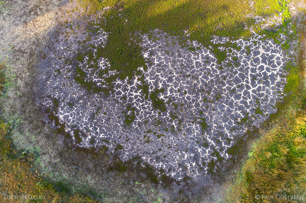 Drooggevallen ven van de Steenhaarplassen op het Buurserzand tijdens de droge zomer van 2018. Luchtfoto gemaakt met een camera drone.