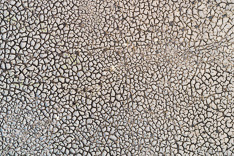 Drooggevallen ven van de Leersumse Plassen in het Leersumse Veld met opgedroogde modder tijdens de droge zomer van 2019. Luchtfoto gemaakt met een camera drone.