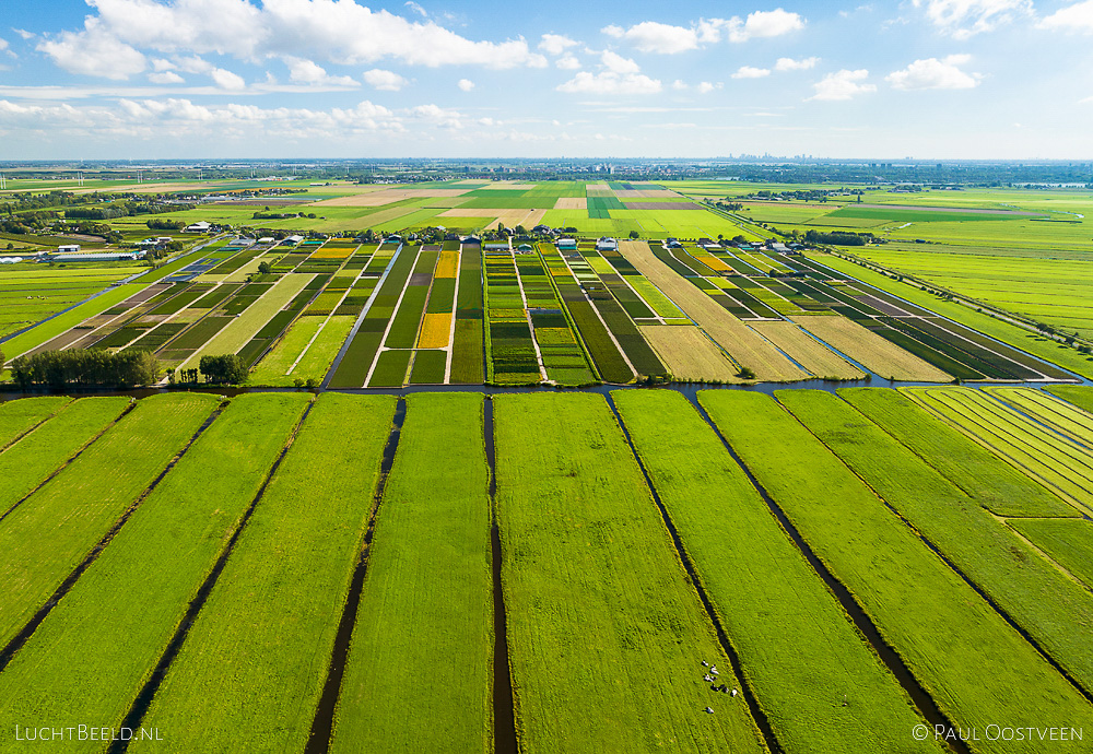 Weilanden en boomkwekerijen, Benthuizen, Zuid-Holland (dronefoto: Paul Oostveen)