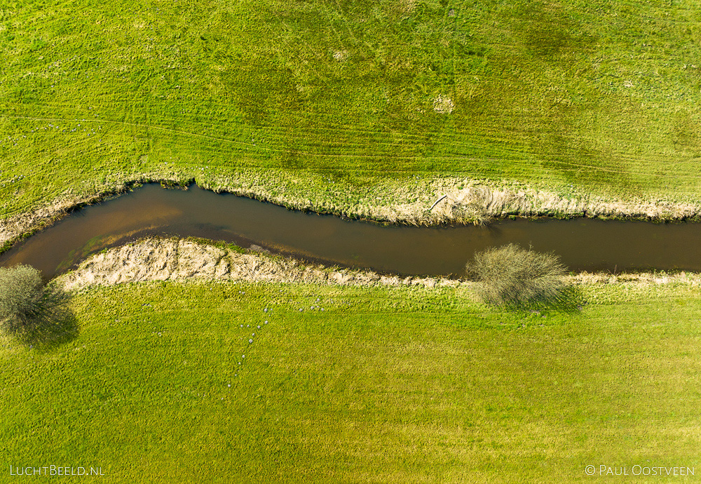 Top-down luchtopname boven rivier de Tongelreep met twee bomen