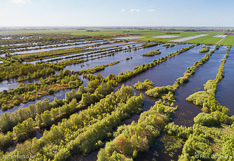 Natuurgebied De Deelen, een laagveen gebied in Friesland, gefotografeerd met een camera drone.
