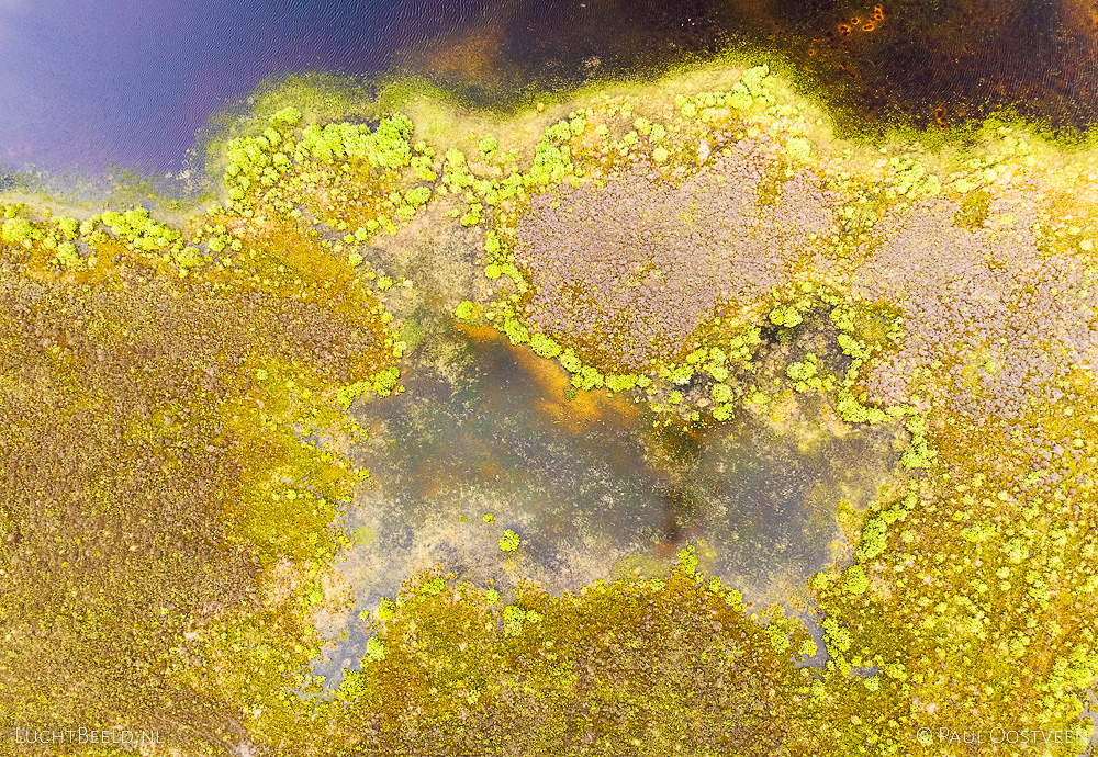 Abstracte luchtopname van de rand van een meer in Scharreveld