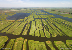 Luchtfoto van groene eilandjes in het Wormer- en Jisperveld, een veenweidegebied in Noord-Holland.