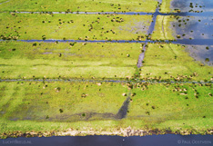 Luchtfoto van Varkensland, een veenweidegebied in Noord-Holland.