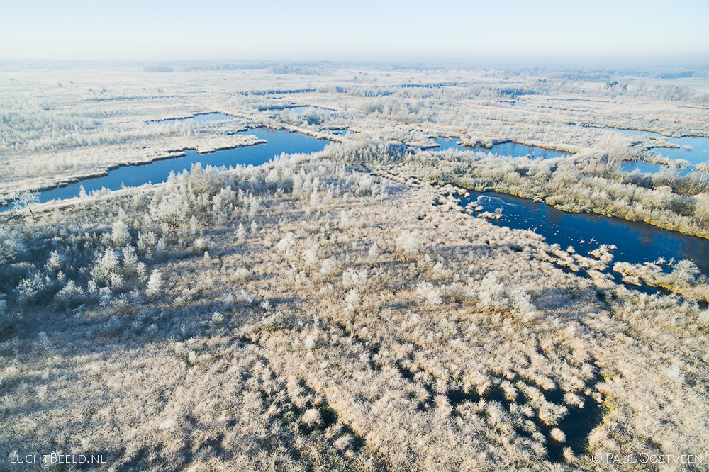 Rijp in het Haaksbergerveen in de winter, gefotografeerd met een camera drone