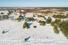 Luchtfoto van natuurgebied De Borkeld in Overijssel in de winter met sneeuw