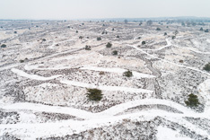 Sneeuw in de Sallandse Heulvelrug. Luchtfoto gemaakt met een drone.